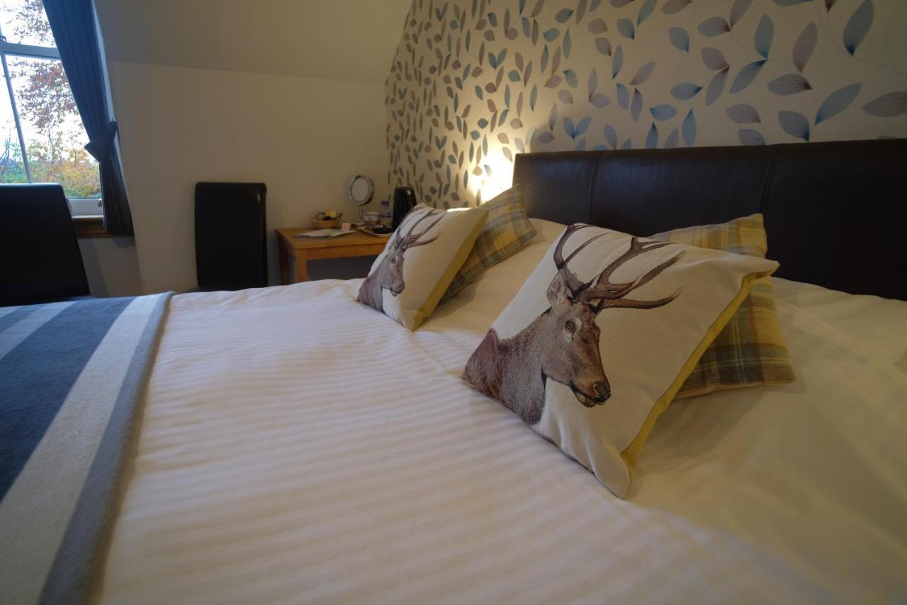 Morlea Bed & Breakfast ดรัมนาดรอคิท ภายนอก รูปภาพ